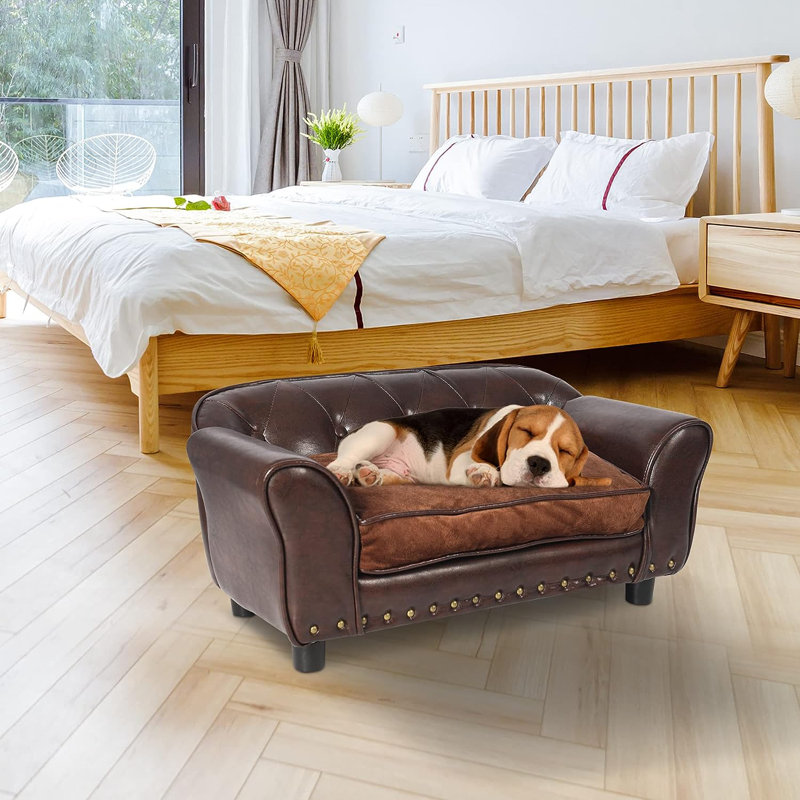 Wayfair dog murphy fashion bed